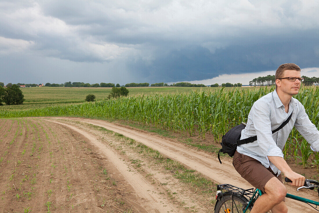 Cyclist passing corn field, Stolpe, Usedom Island, Mecklenburg-Western Pomerania, Germany