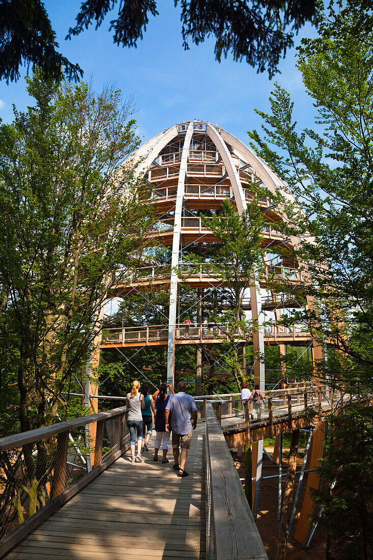Viewing Tower of the Tree top walk in National Park Bavarian Forest, Neuschönau, Bavaria, Germany, Europe