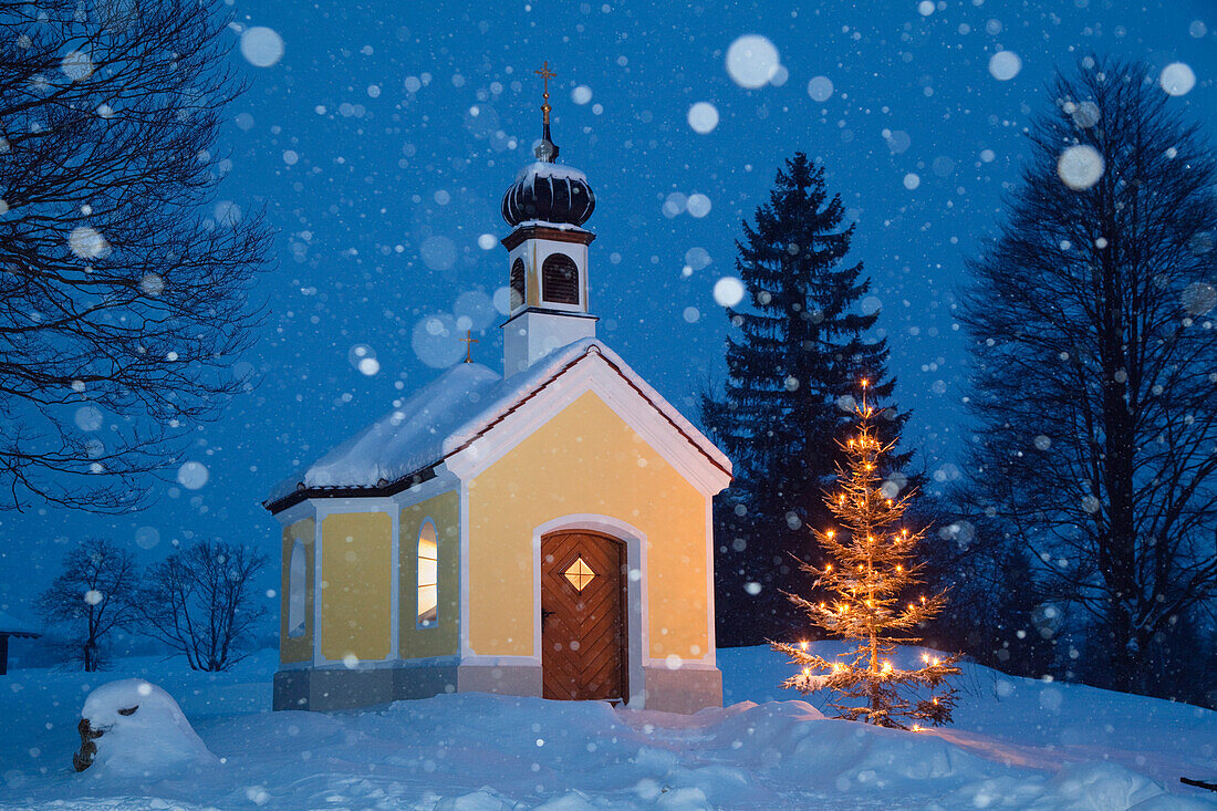 Kapelle mit Christbaum bei Schneetreiben, Oberbayern, Deutschland, Europa