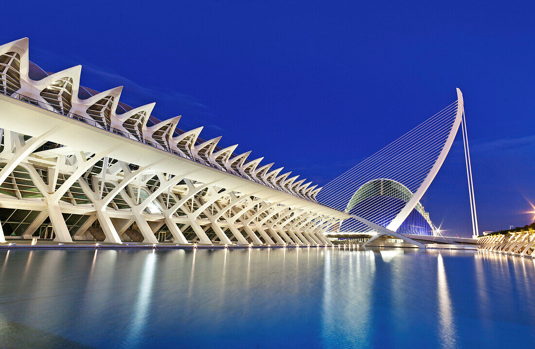 The Science Museum, Museu de les Ciencies Príncipe Felipe and bridge, Puente de l'Assut de l'Or, City of Arts and Sciences, Cuidad de las Artes y las Ciencias, Santiago Calatrava (architect), Valencia, Spain