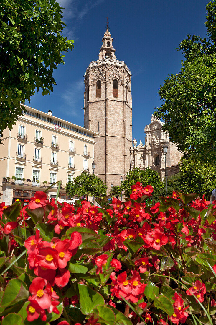 Valencia cathedral, Catedral de Santa María de Valencia, and the Plaza de la Reina, Plaza de la Virgen, Valencia, Spain