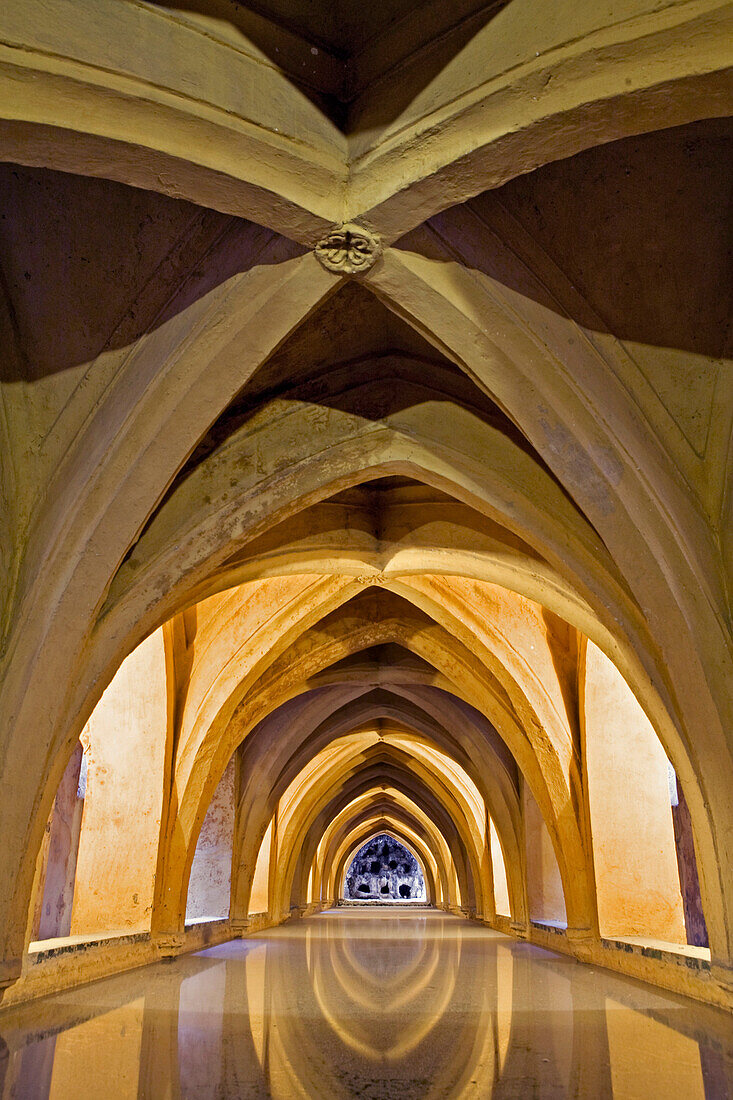 Los Baños de Doña María de Padilla, Alcázar of Seville, royal palace originally a Moorish fort, Seville, Spain