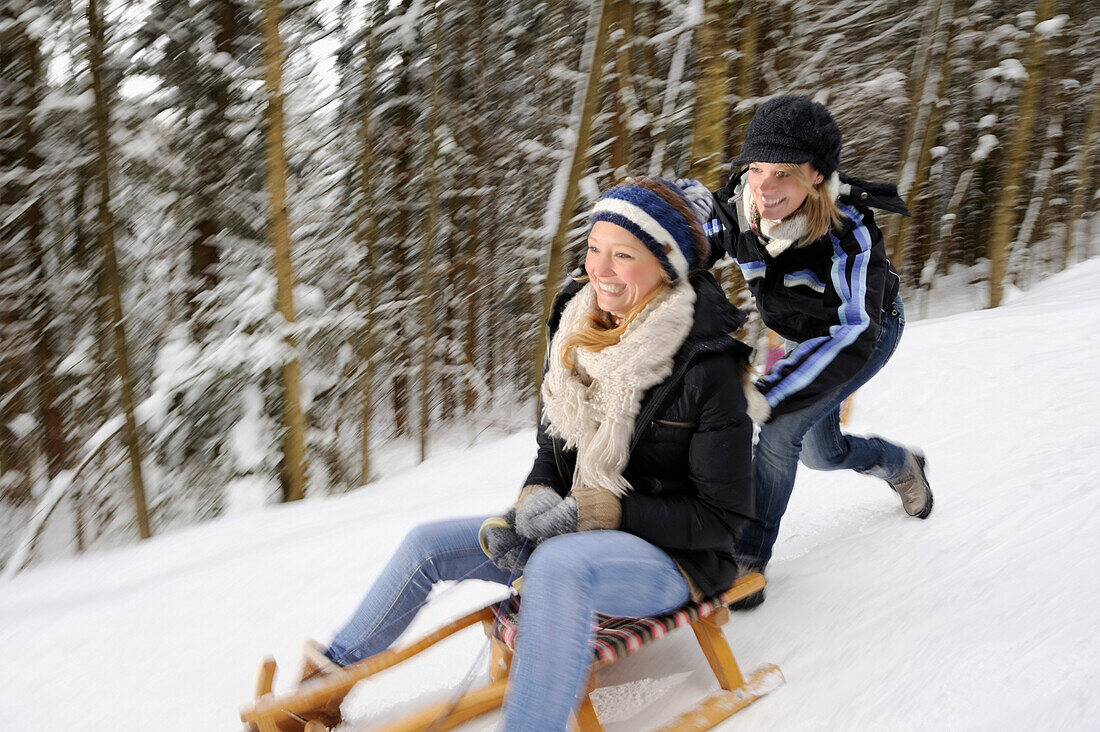 Young woman pushing another young woman on a sleigh, valley of Leitzachtal, Upper Bavaria, Bavaria, Germany, Europe