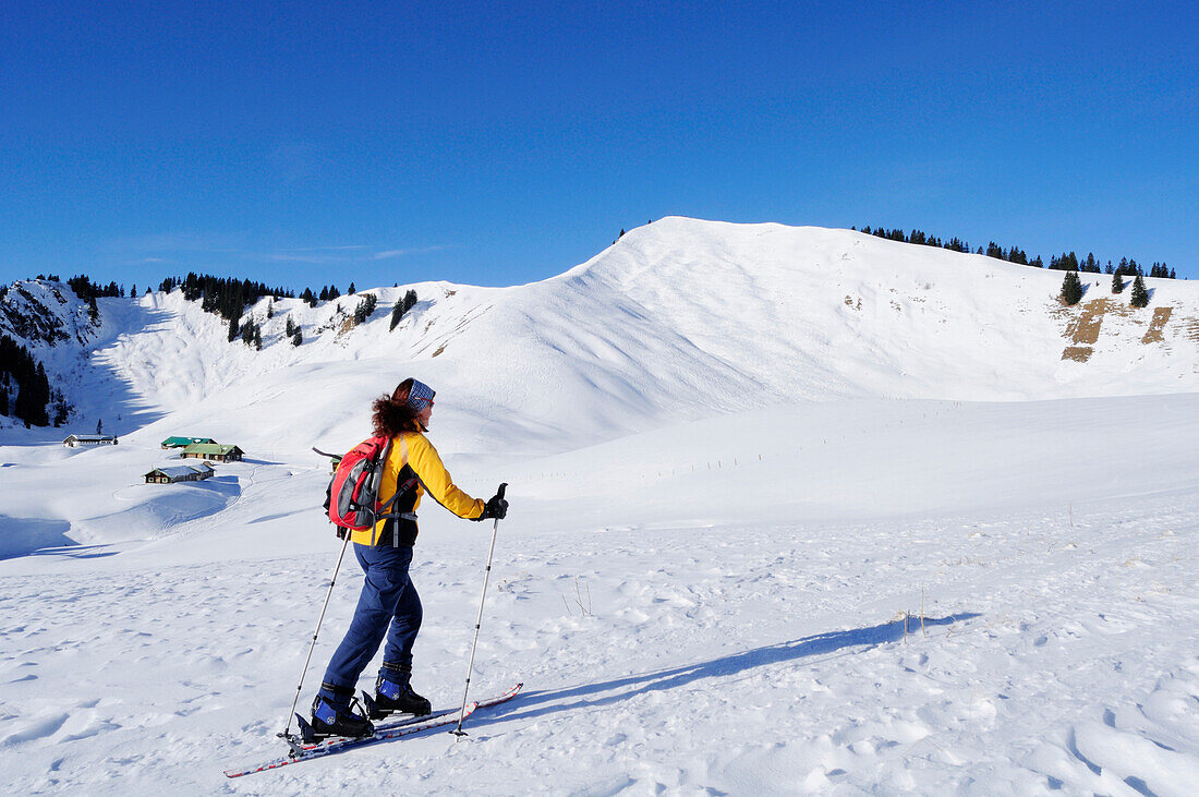 Woman backcountry skiing ascending towards Seekarkreuz, Seekarkreuz, Tegernsee range, Bavarian Alps, Upper Bavaria, Bavaria, Germany, Europe