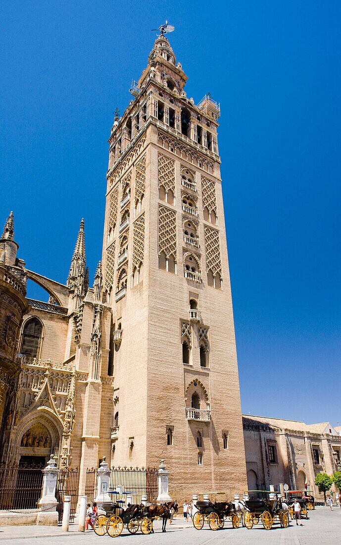 La Giralda, Cathedral of Seville, Andalusia, Spain