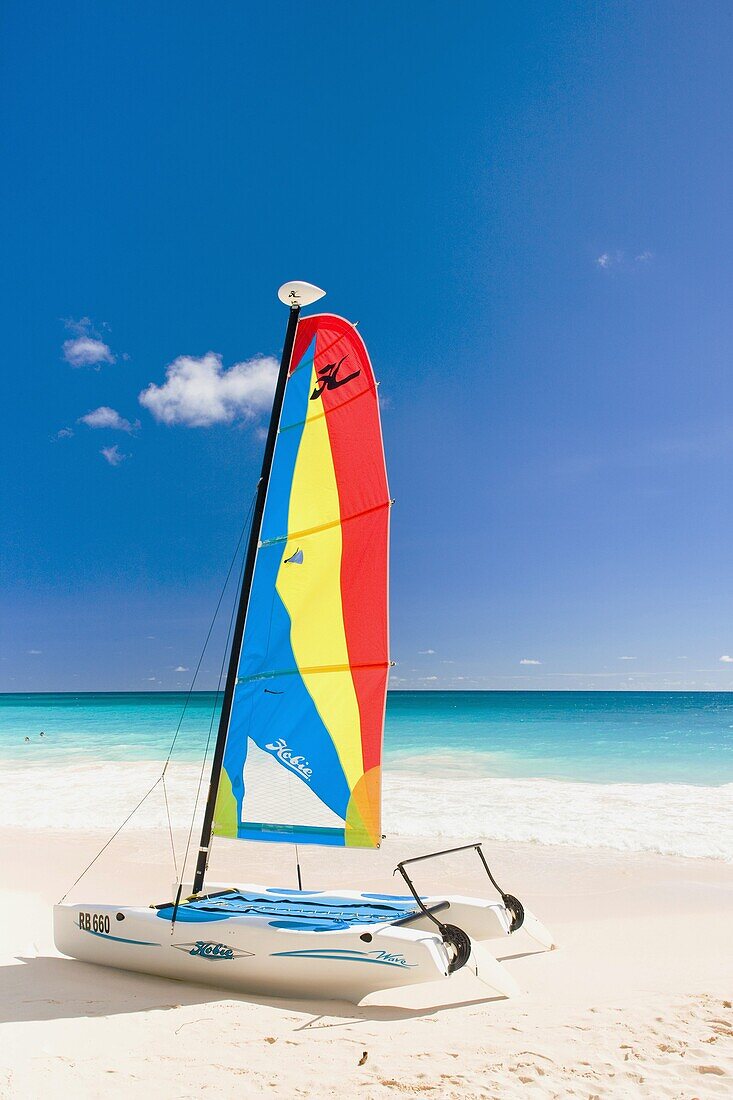 catamaran, Maxwell Beach, Barbados, Caribbean