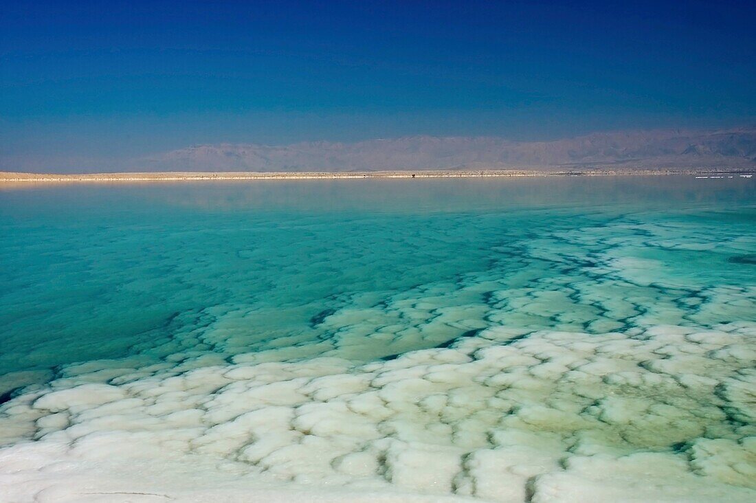 Israel, Dead sea, salt formation caused by the evaporation of the water