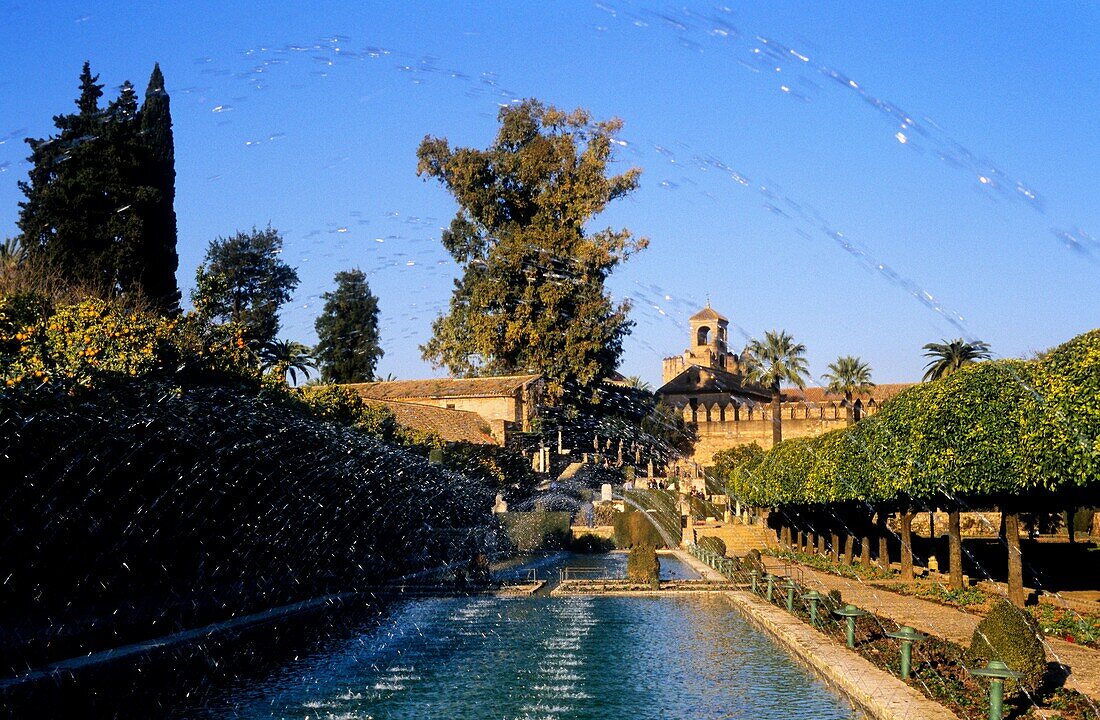 Córdoba Andalusia Spain: Alcazar of the Christian kings Gardens