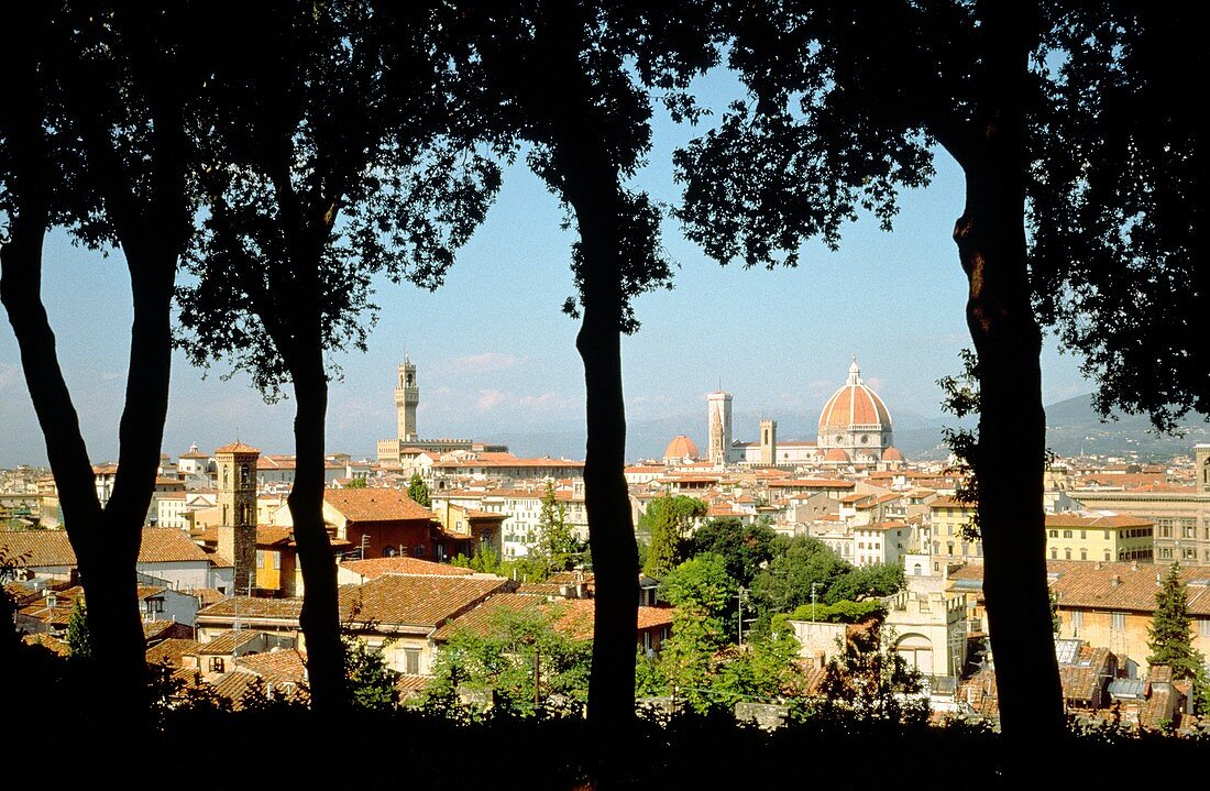Florence View over the city from Piazzale Michelangelo with Palazzo Vecchio and Duomo in distance Tuscany, Italy