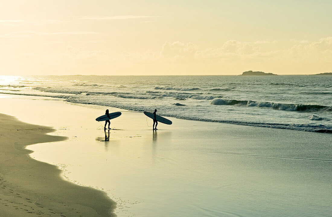 Surfers carrying surfboards walking along sandy beach shoreline evening light summer  White Rocks Strand, Portrush, Ireland
