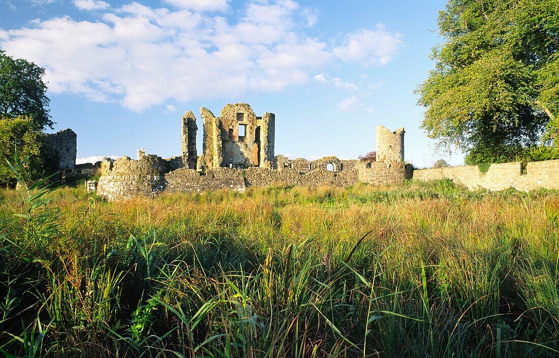 Ruins of Old Crom Castle on the Crom Estate on Upper Lough Erne near Enniskillen, County Fermanagh, Northern Ireland
