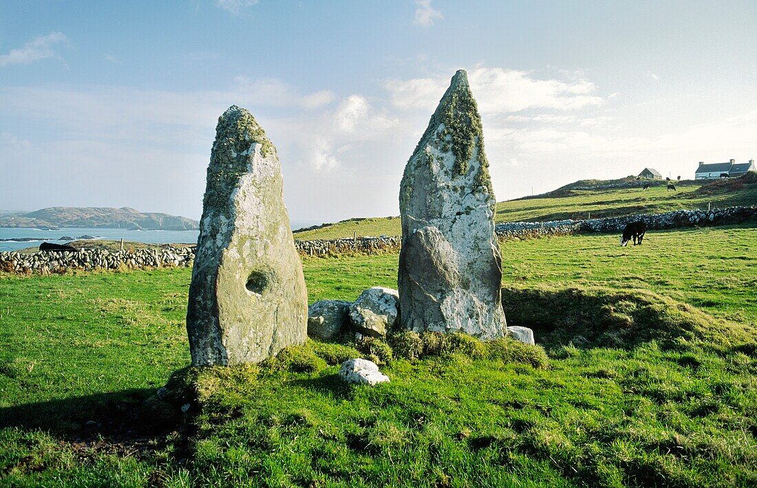 Prehistoric megalithic standing stones known as the Marriage Stones on northeast end of Cape Clear Island, County Cork, Ireland