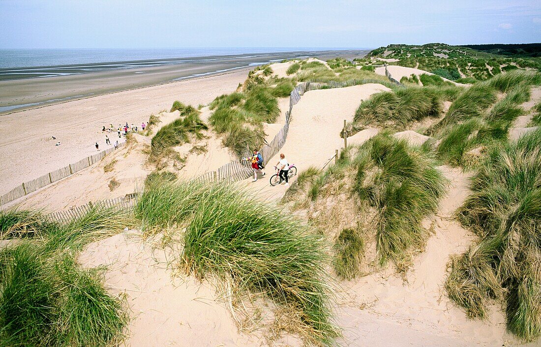 Marram grass, sand dunes and beach on the Irish Sea coast at Formby, Merseyside, England