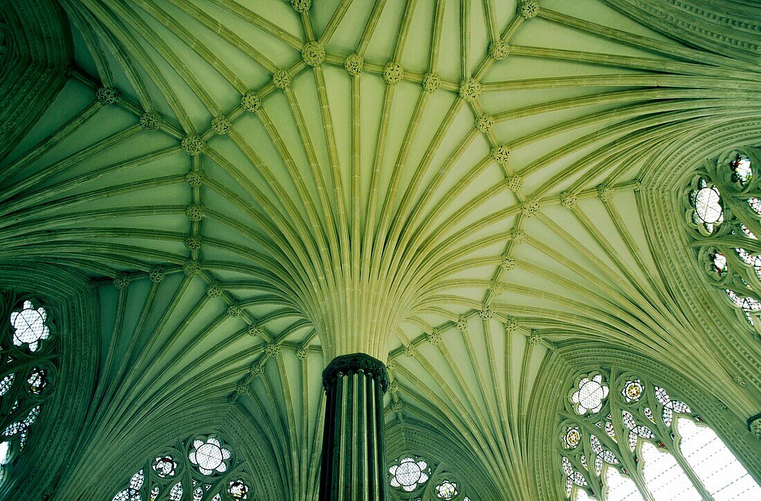 Stone fan vaulting and windows of the ceiling of the Chapter House of Wells Cathedral, Somerset, England