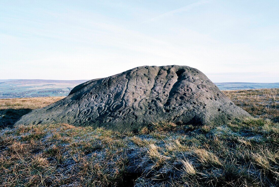 The Badger Stone, Ilkley Moor, West Yorkshire, England Natural boulder carved with prehistoric cup and ring marks rock art