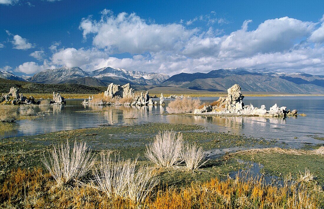 Mono Lake, California, USA Tufa formations exposed due to lowering of original water level in Mono Lake, now a water reservoir