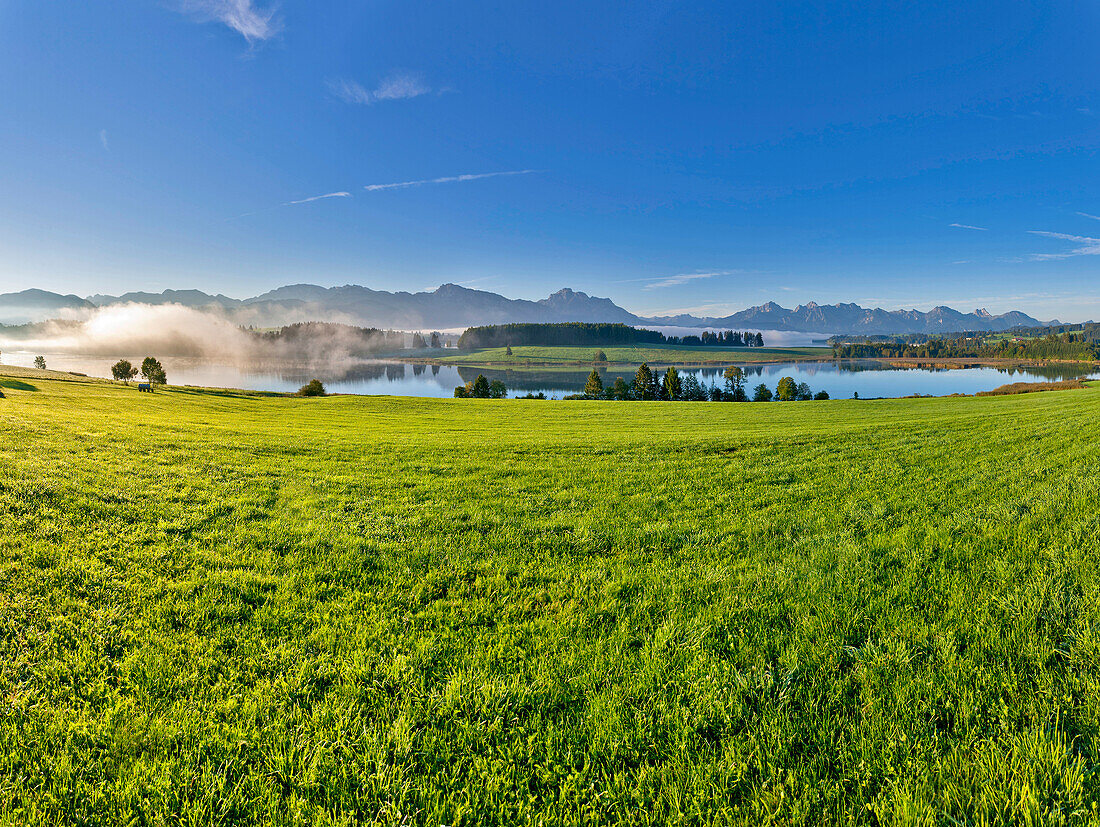Blick über den Forggensee auf die Allgäuer Berge, Ostallgäu, Oberbayern, Bayern, Deutschland