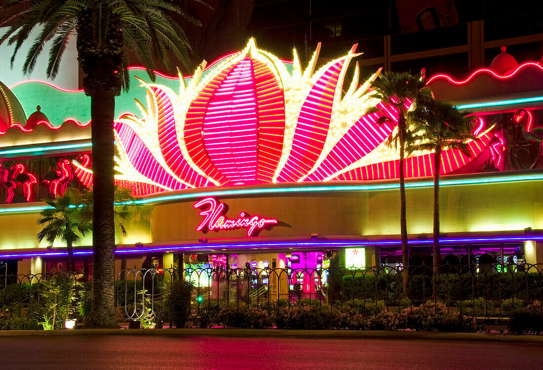 Neon signs of The Flamingo Hotel Casino, Las Vegas, Nevada, USA