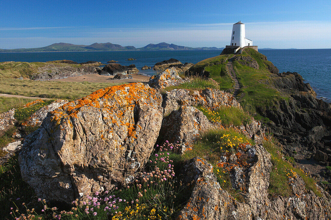 View of twr mawr lighthouse in springtime, Llandwyn Island, Anglesey, UK - Wales