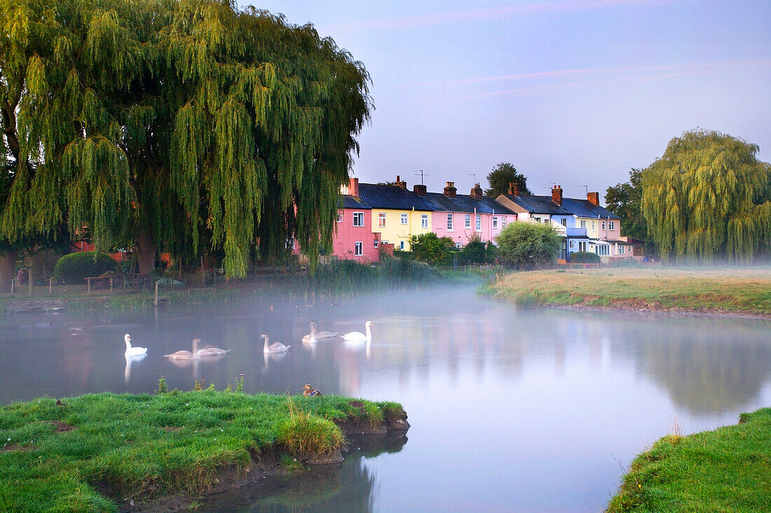 Water meadows at dawn, Sudbury, Suffolk, UK - England