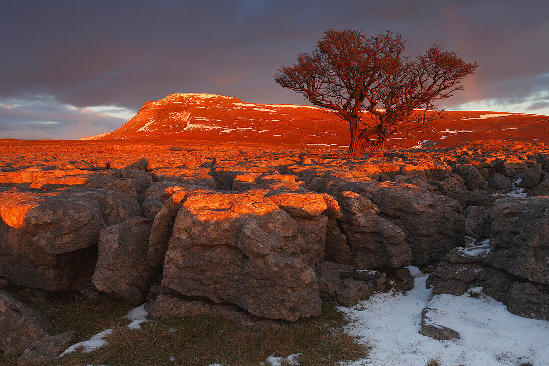 Ingleborough from white scars, Ingleborough, North Yorkshire, UK - England