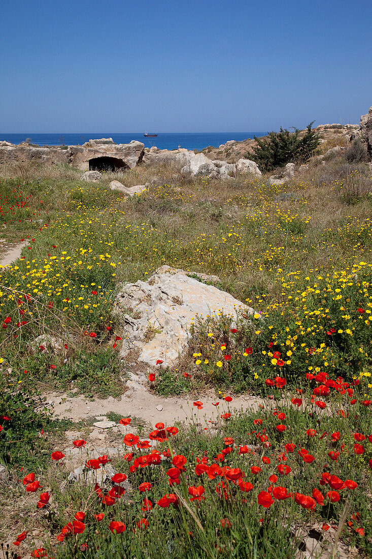 Tombs of the Kings, Kato Paphos, Paphos, Cyprus