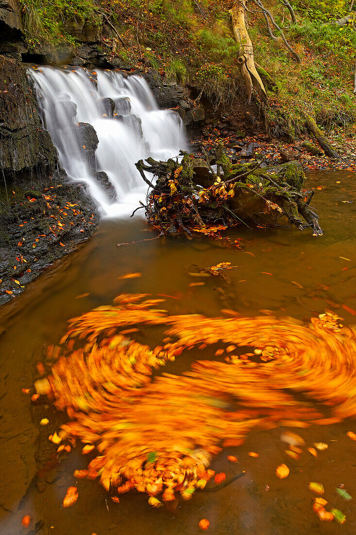 Lower falls at Scalebor Force, Lower falls at Scalebor Force ne, North Yorkshire, UK - England