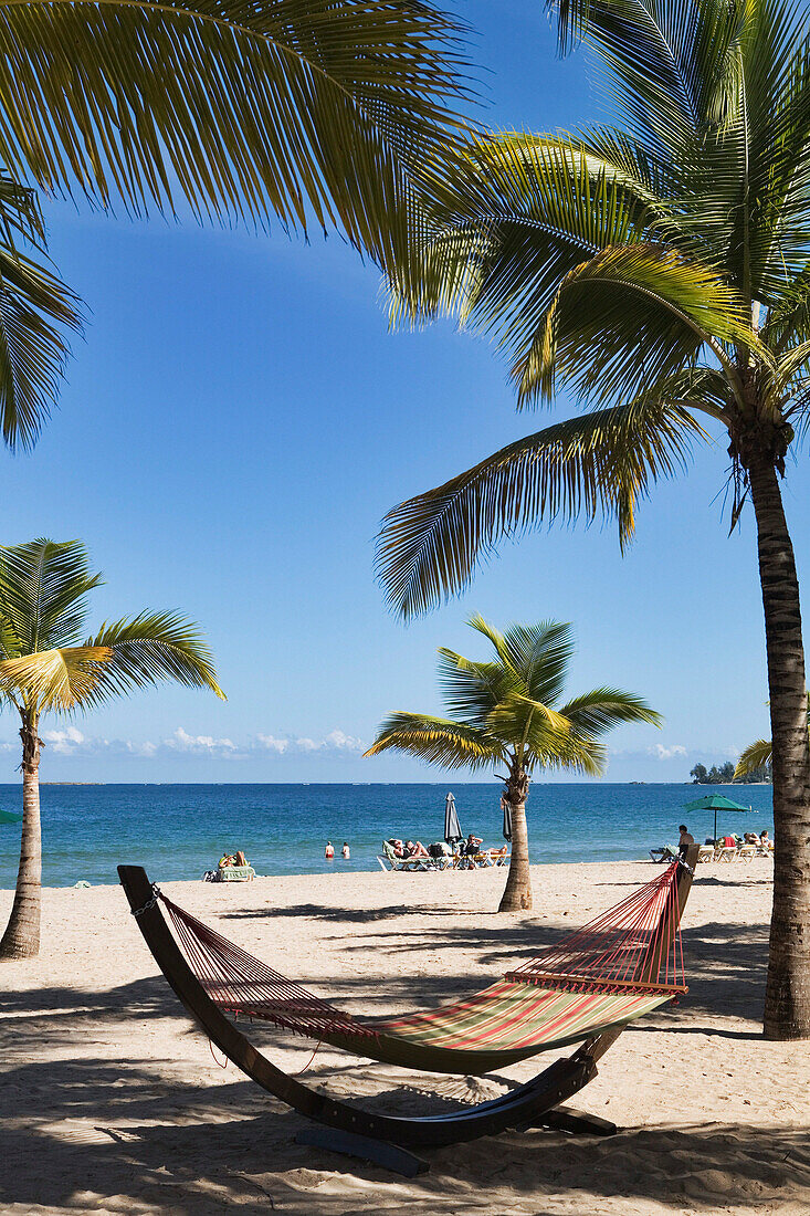 Isla Verde beach with palm trees and hammock, San Juan, Puerto Rico, Caribbean