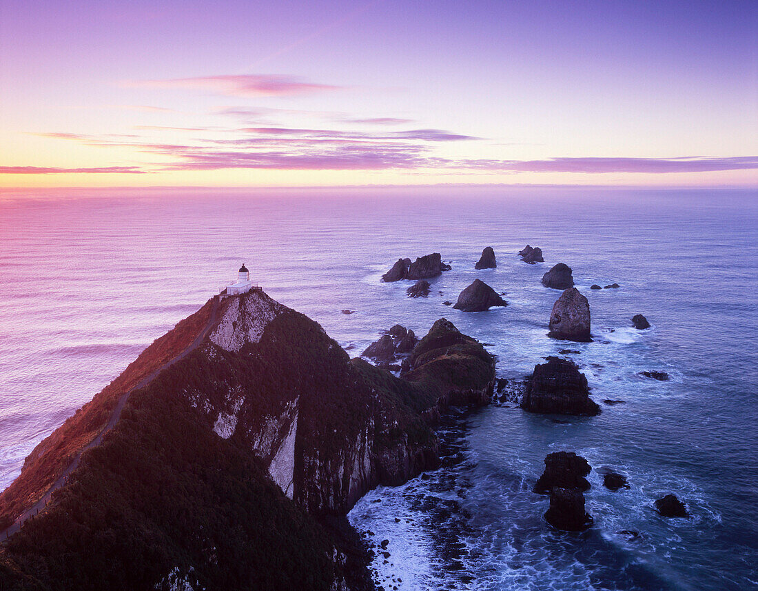 Coastal scenery at sunrise, Nugget Point, South Island, New Zealand