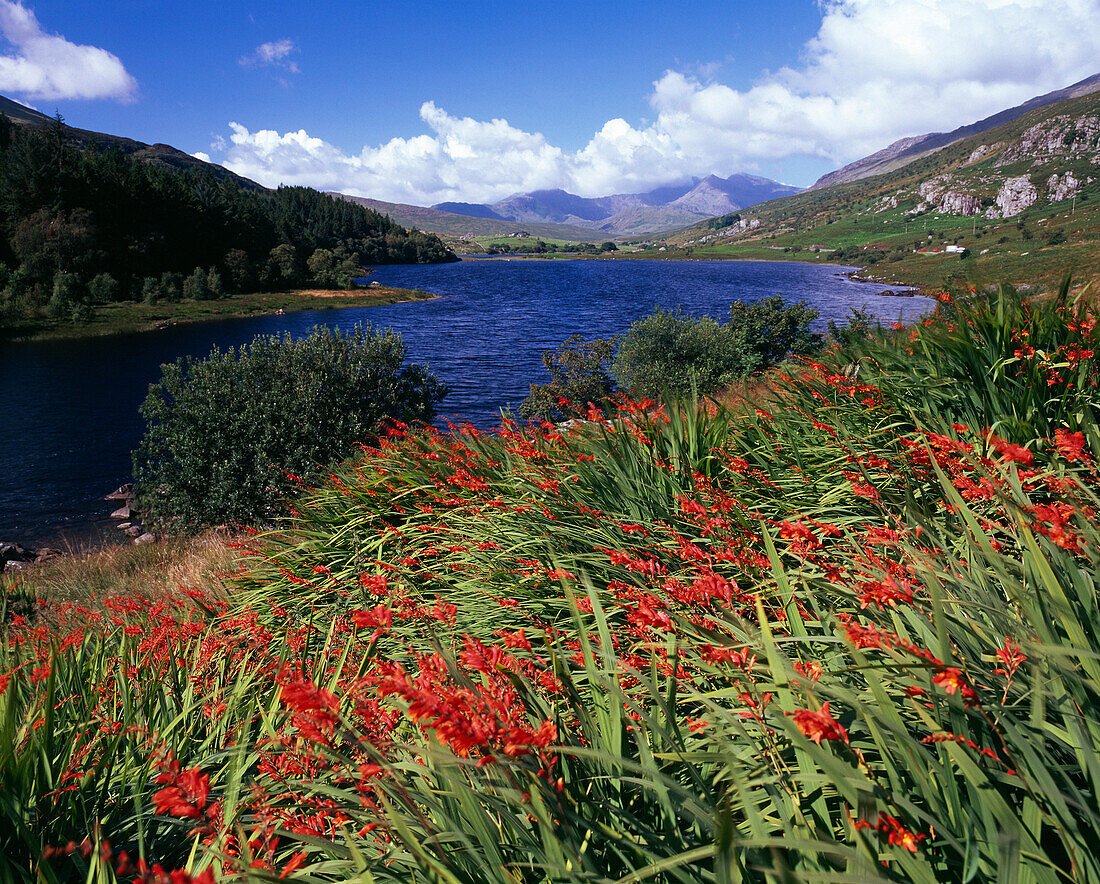 View of Mount Snowdon from Llyn Mymbyr, Capel Curig - near, Snowdonia, UK - Wales