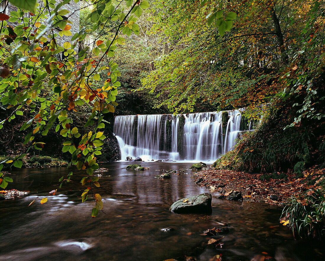 Stock Ghyll Force in autumn, Lake District National Park, Cumbria, UK - England