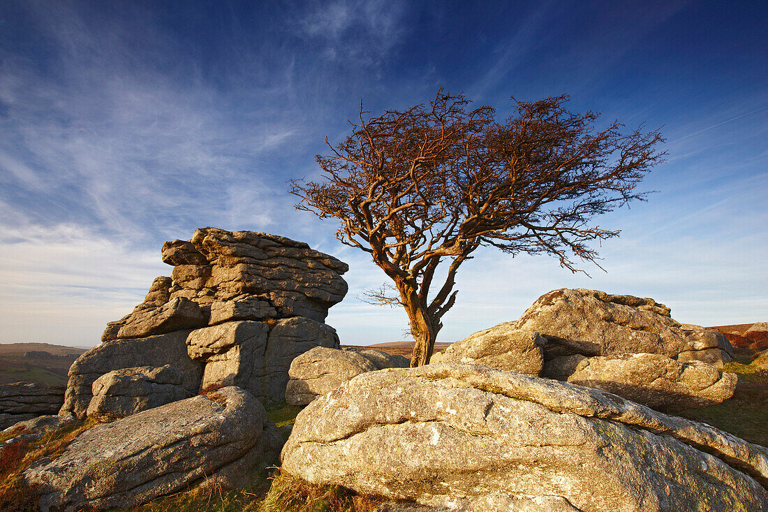 Saddle Tor at dusk, Dartmoor National Park, Devon, UK - England