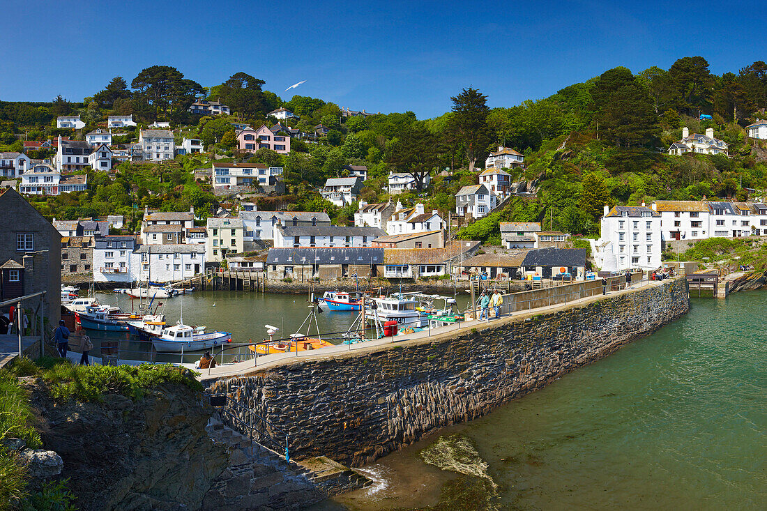 Fishing village and harbour, Polperro, Cornwall, UK - England