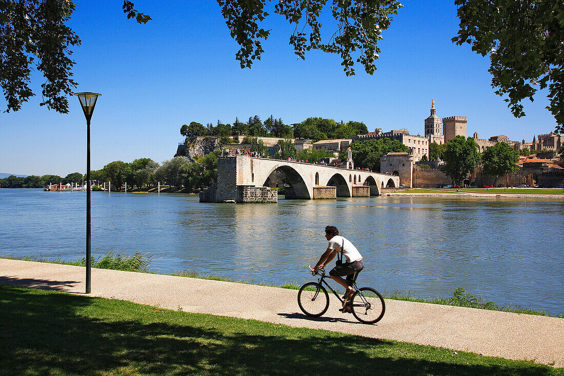 Pont d Avignon and Rhone River, Avignon, Provence, France