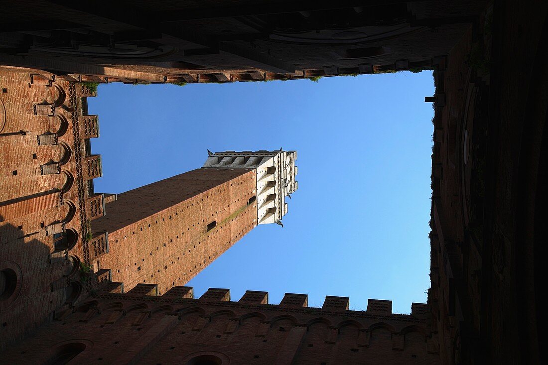 Torre del Mangia from the town hall, Siena, Italy
