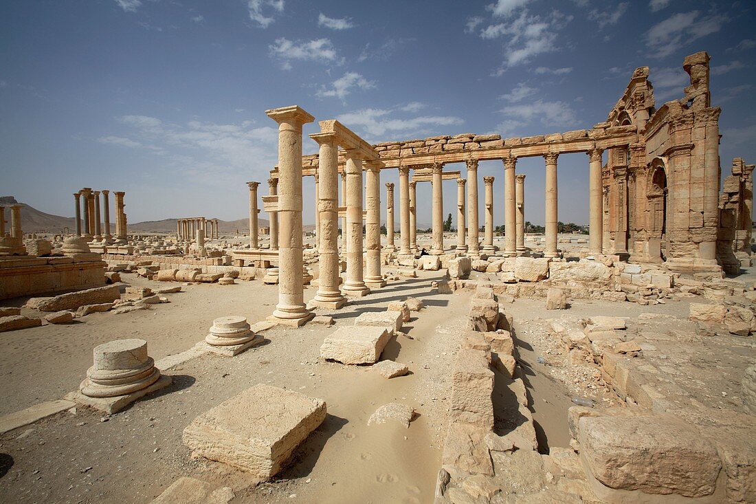 Colonnade at the ruins of Palmyra, Syria