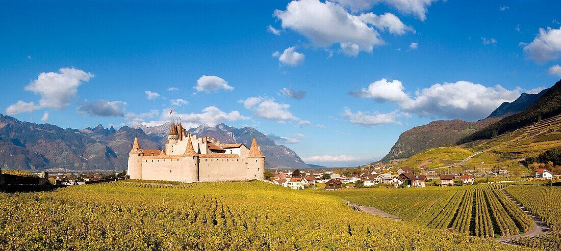 Chateau d,  Aigle, Switzerland