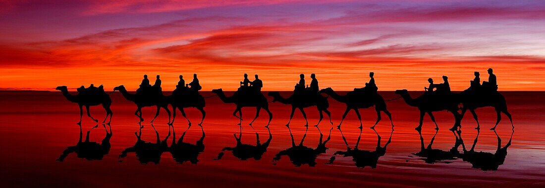 Camel Ride on Cable Beach, Broome, Western Australia