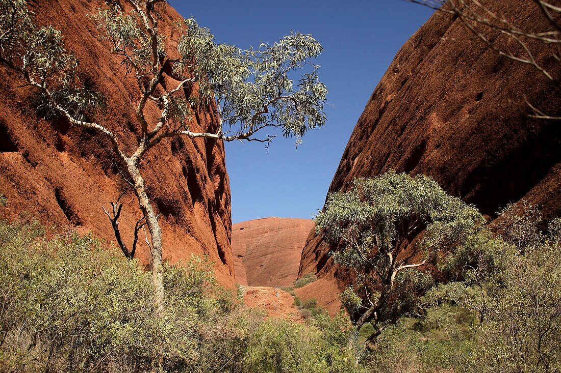Valley of the winds at Uluru-Kata-Tjuta National Park, Northern Territory, Australia