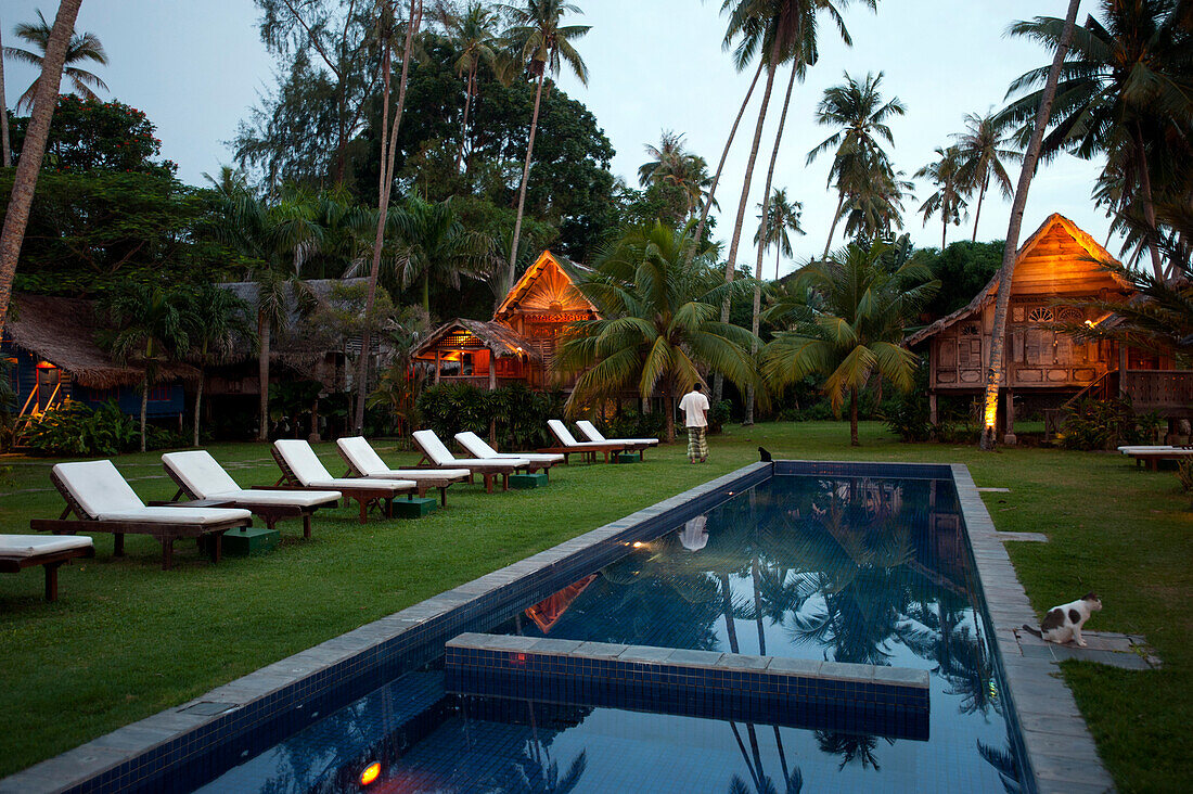 Pool and sunloungers beneath palm trees, Bon Ton Resort, Lankawi Island, Malysia, Asia