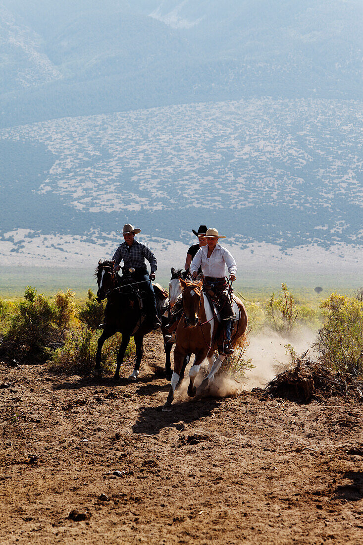 Zapata Ranch ist eine Arbeitsranch in der Touristen mitarbeiten können, Alamosa, Alamosa County, Colorado, USA, Nordamerika, Amerika