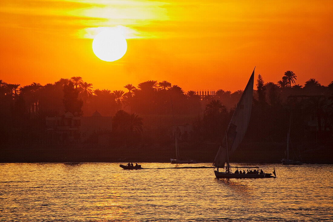 Feluccas and sunset on the river Nile, Luxor, formerly Thebes, Egypt, Africa