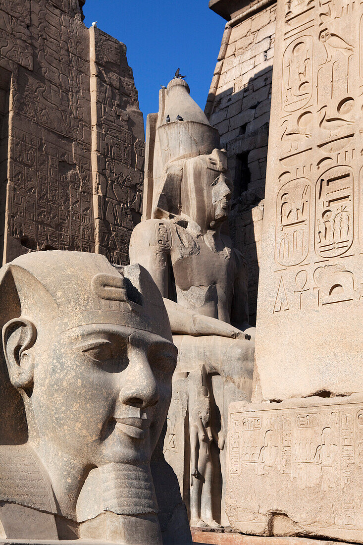 Kolossalstatue Ramses II im Eingagnsbereich des Tempel von Luxor, Luxor, Ägypten, Afrika