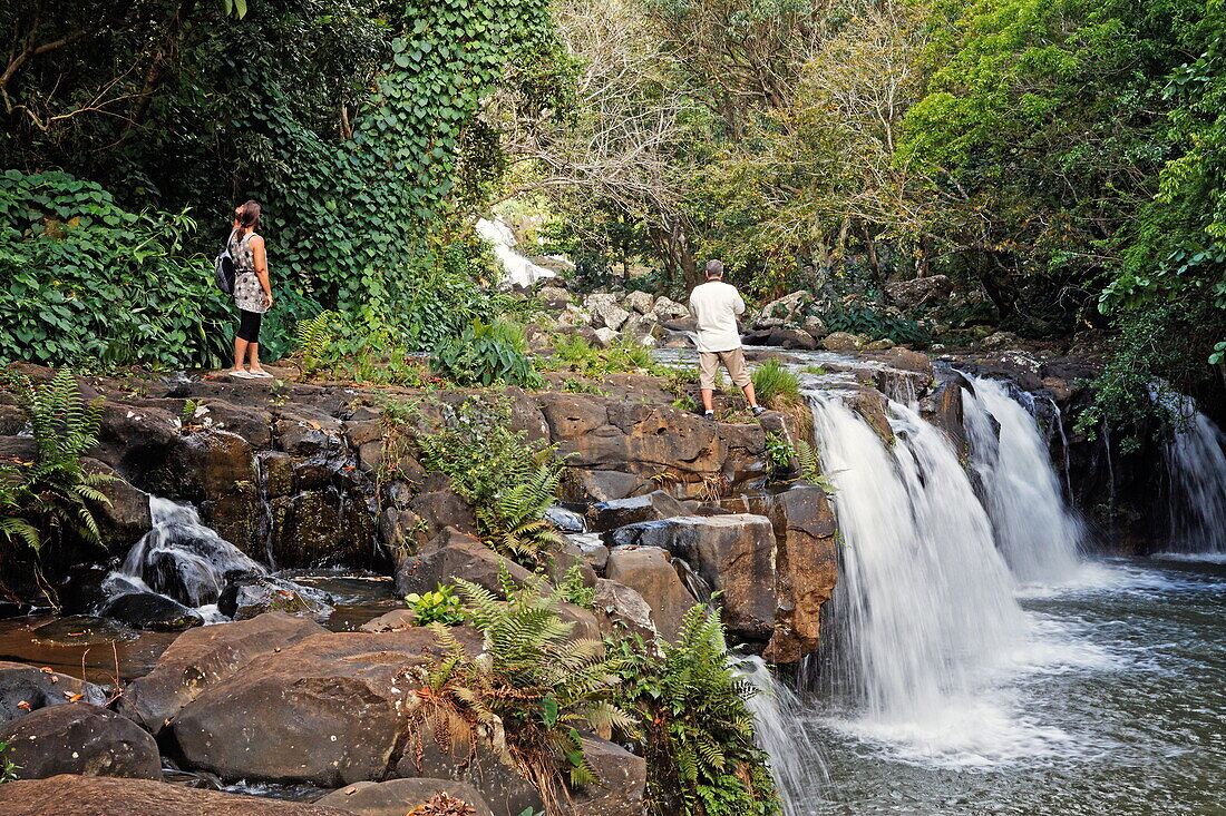Waterfall in the garden of the colonial villa Eureka in Moka, Mauritius, Africa