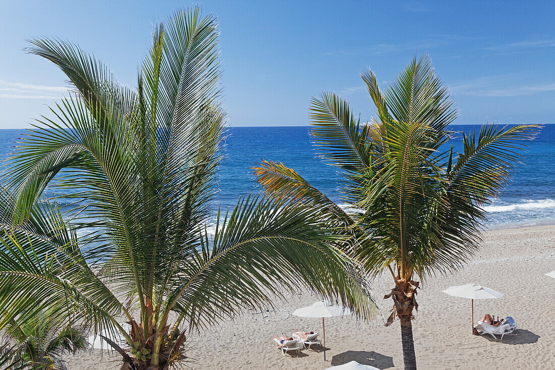 Palm trees on the beach at Hotel Saint Alexis, Saint Gilles les Bains, La Reunion, Indian Ocean