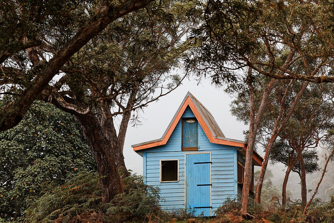 Small garden shed in creole colours, Maido, La Reunion, Indian Ocean