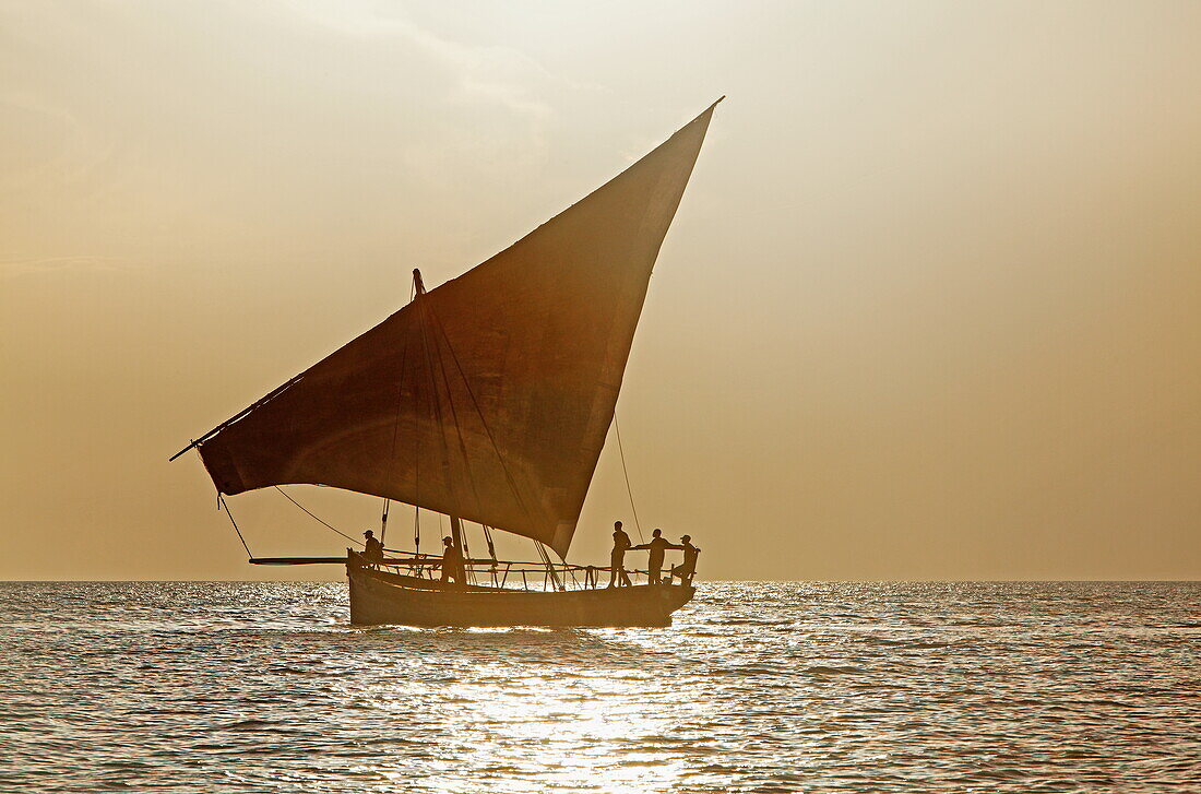 Dhow sailing along Stonetowns city beach, Zanzibar City, Zanzibar, Tanzania, Africa