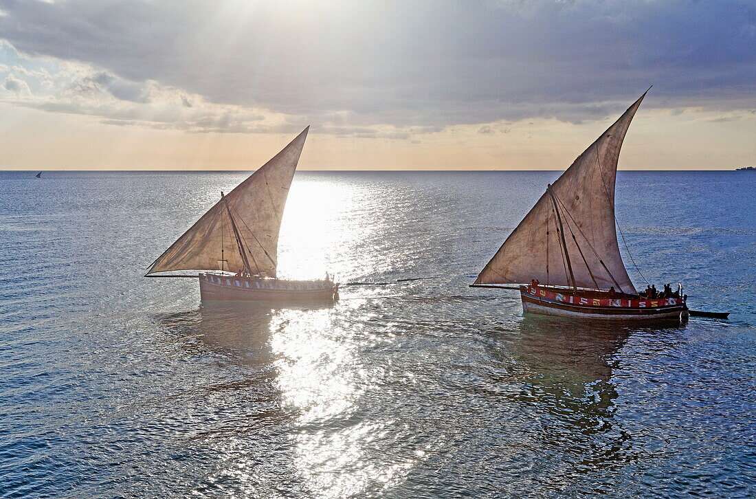 Daus segeln entlang dem Stadtstrand von Stonetown, Sansibar City, Sansibar, Tansania, Afrika