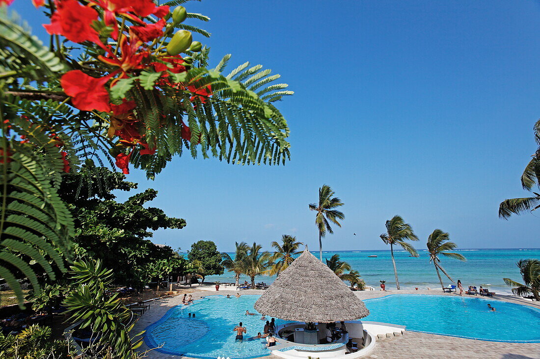 Pool des Karafuu Resort am Meer, Dongwe, Sansibar, Tansania, Afrika