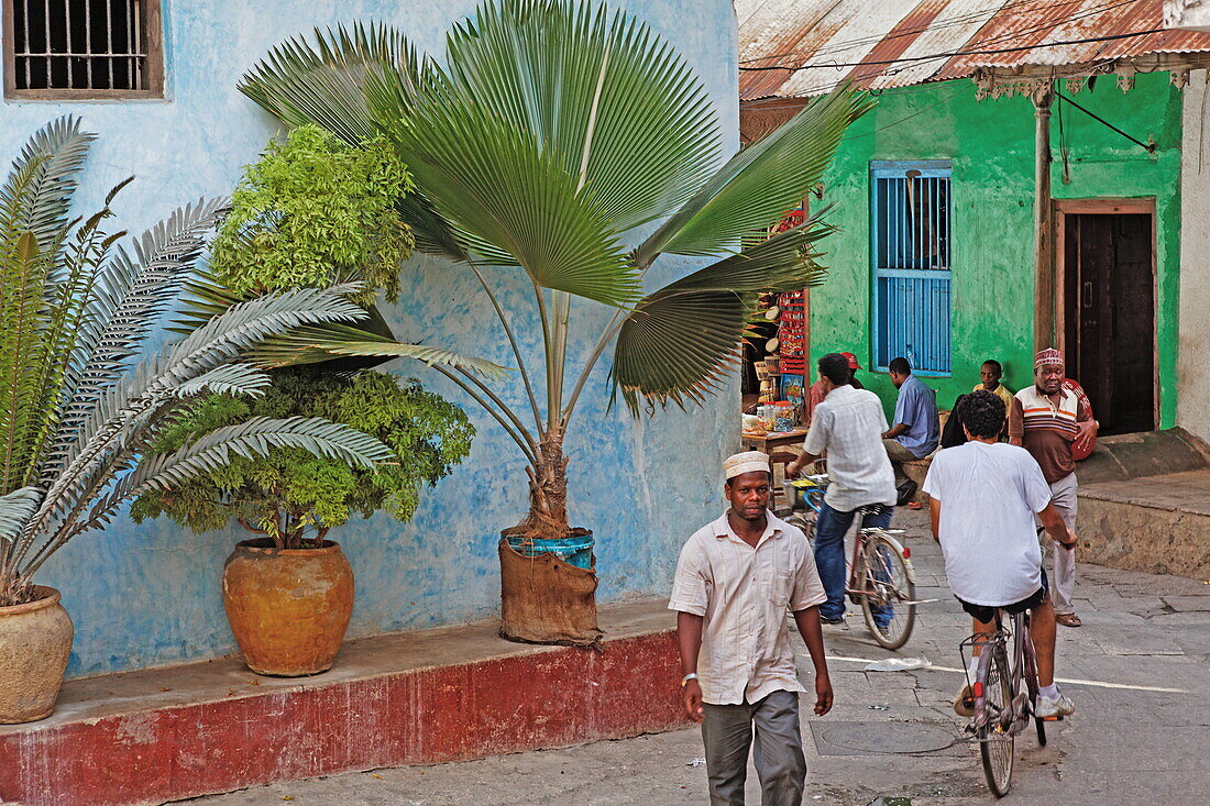 Street life, local people in an alley in Stonetown, Zanzibar City, Zanzibar, Tanzania, Africa